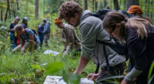 Nature et bien-&ecirc;tre en Essonne