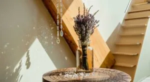 Praticien de Feng shui & G&eacute;obiologie en Essonne