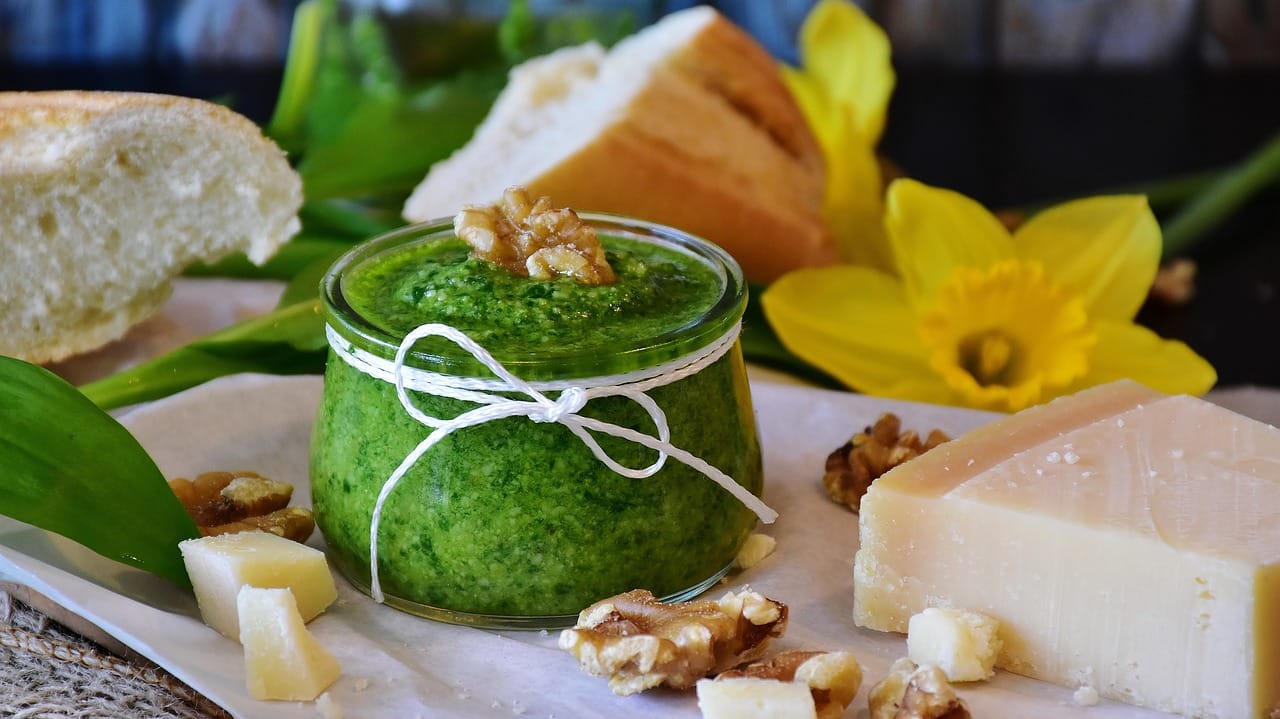 Sauvagement gourmand ! Découvrez la cuisine aux plantes sauvages